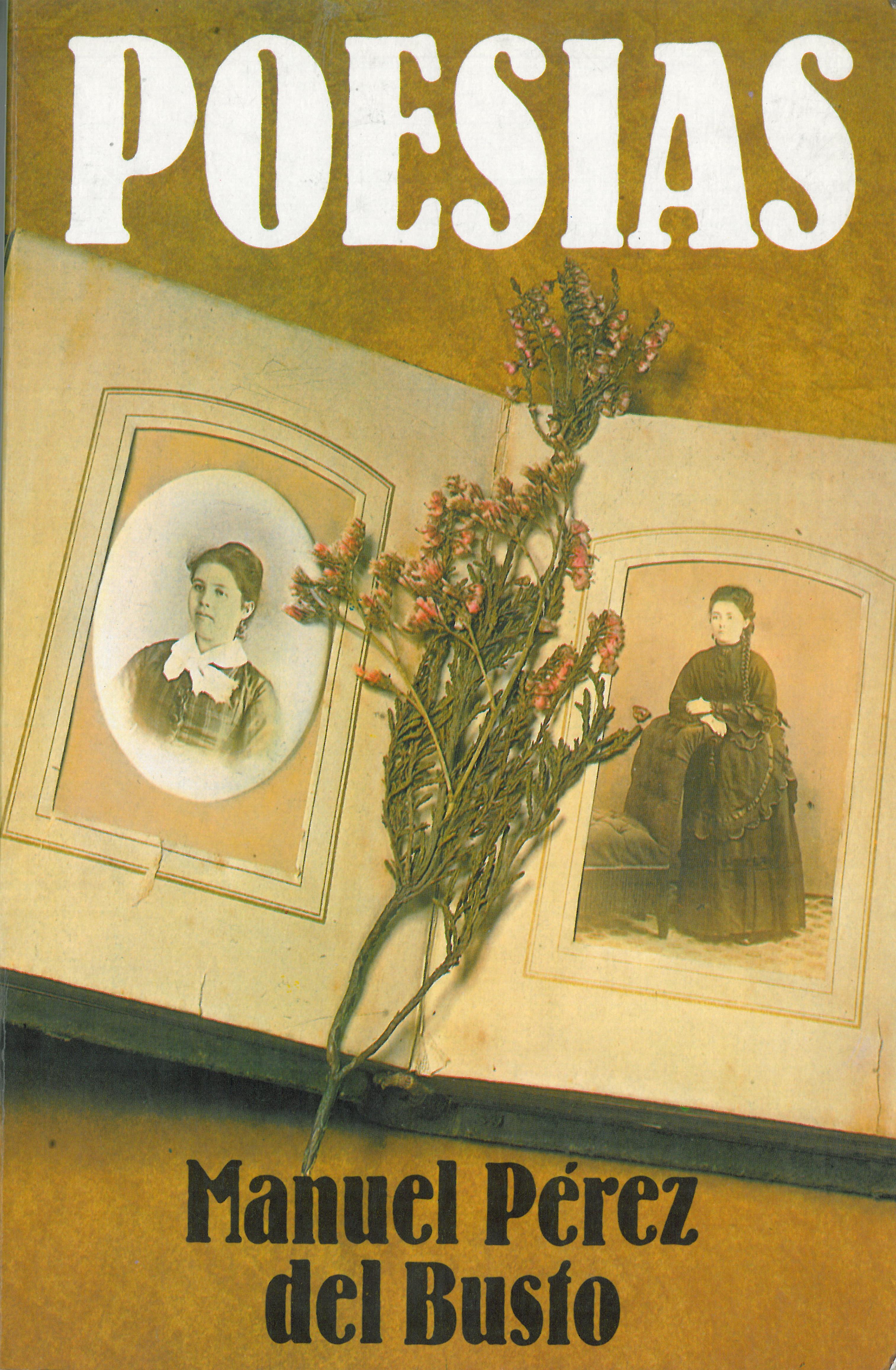 LA OBRA LITERARIA DE MANUEL PÉREZ DEL BUSTO